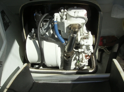 [Immagine: 2011219225155_paguro 114ridotta.jpg]